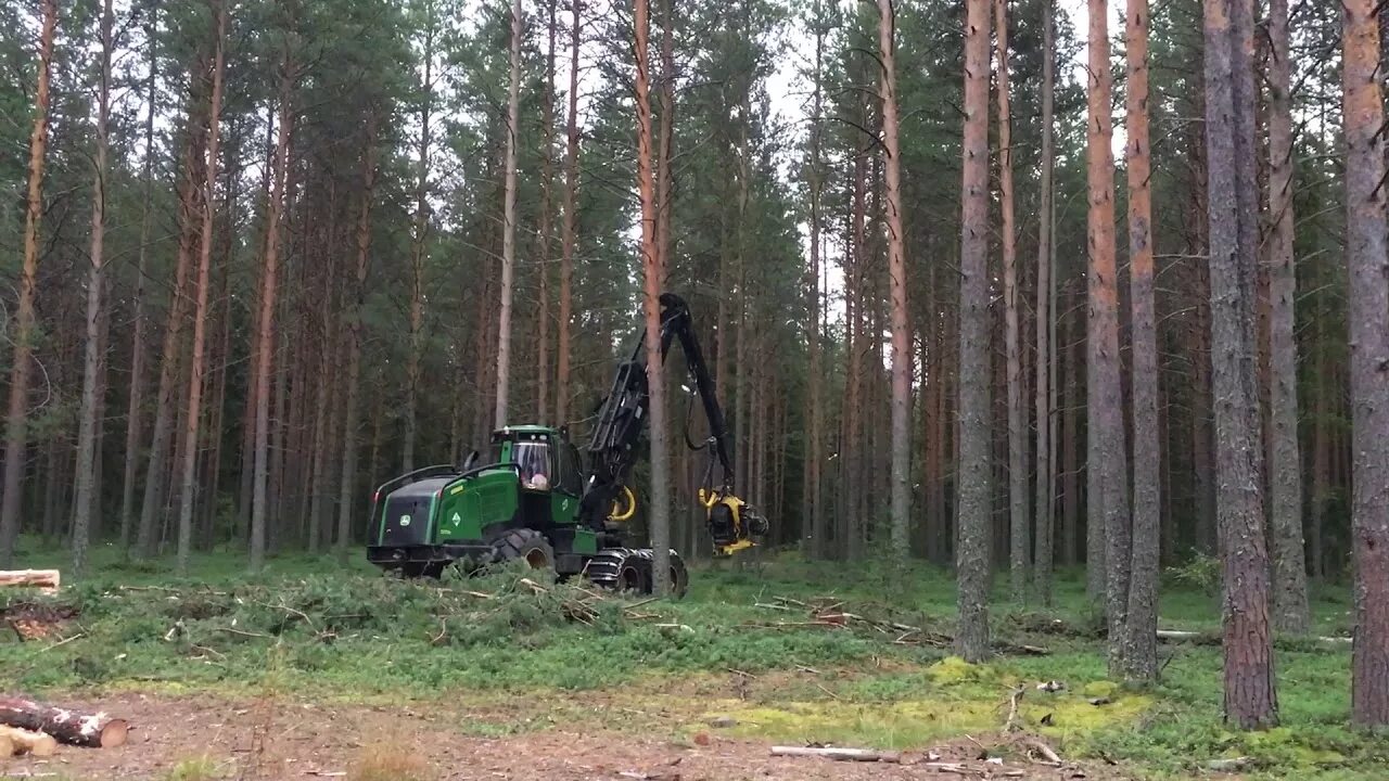 Харвестер мм2. Харвестер 890,3. Харвестер е260лс 480нс.