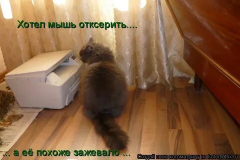 Хочу быть мышкой