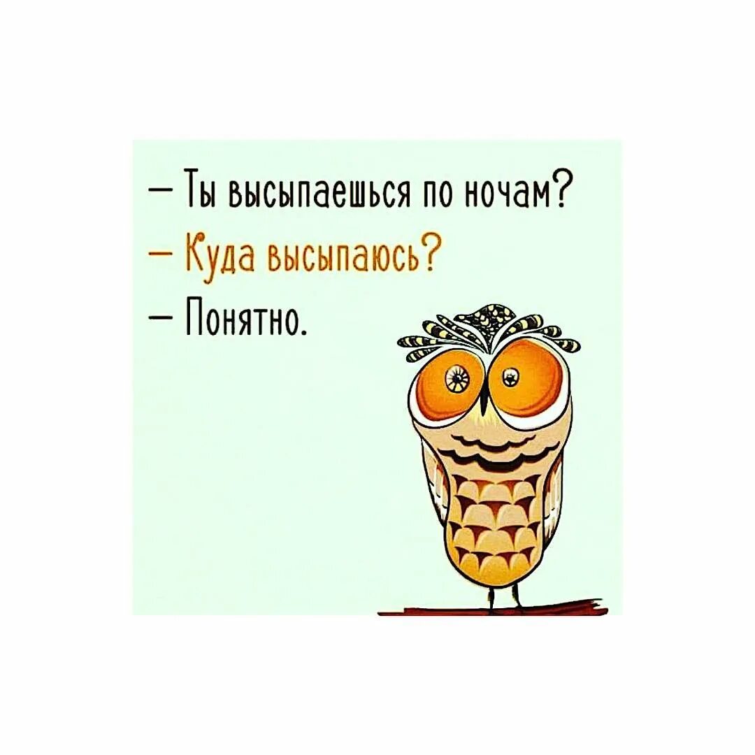 Сова не выспалась. Ты высыпаешься. я высыпаюсь куда высыпаюсь. я не выспалась картинки.