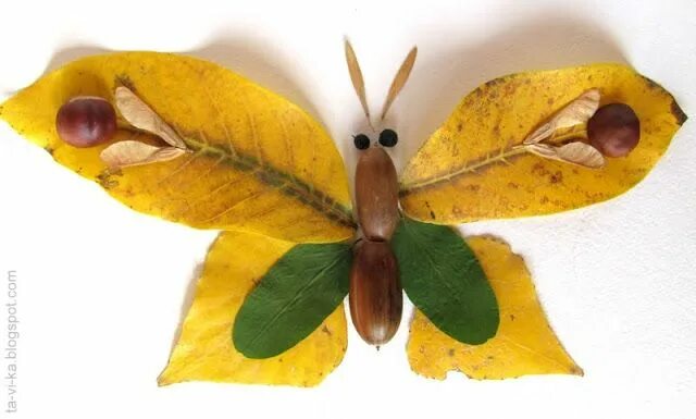 20 Butterfly Craft Ideas for Kids