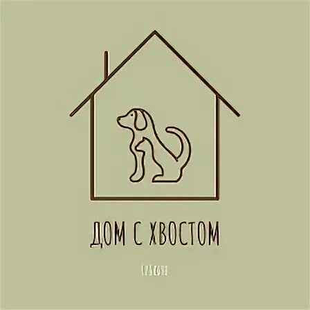 Приют для собак. Волонтеры в приюте для животных. Помощь животным дом. Помощь животным дом. Собаки из приюта.