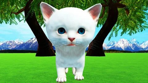 Vr kitty