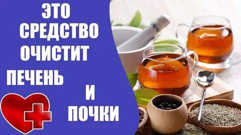 Как почистить почки и печень