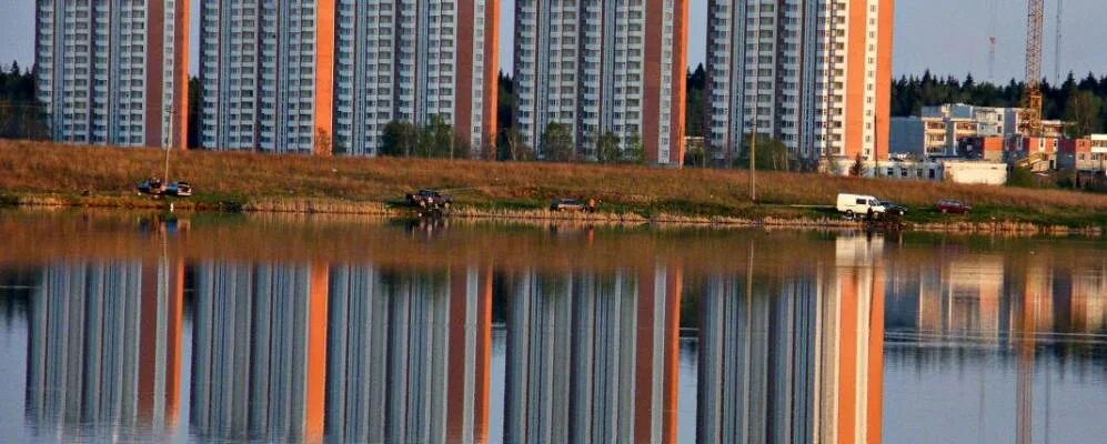 Зеленоград Уголовное дело заведут на виновников загрязнения пруда в Брехово Но