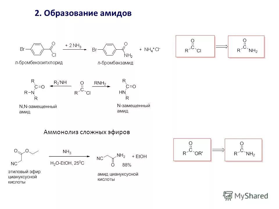 Амиды карбоновых кислот