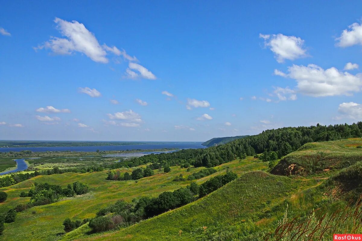 Область поверхности. Приволжская возвышенность Нижегородская область. Лысая гора Воротынский район. Формы земной поверхности Нижегородской области. Холмы Владимирской области.