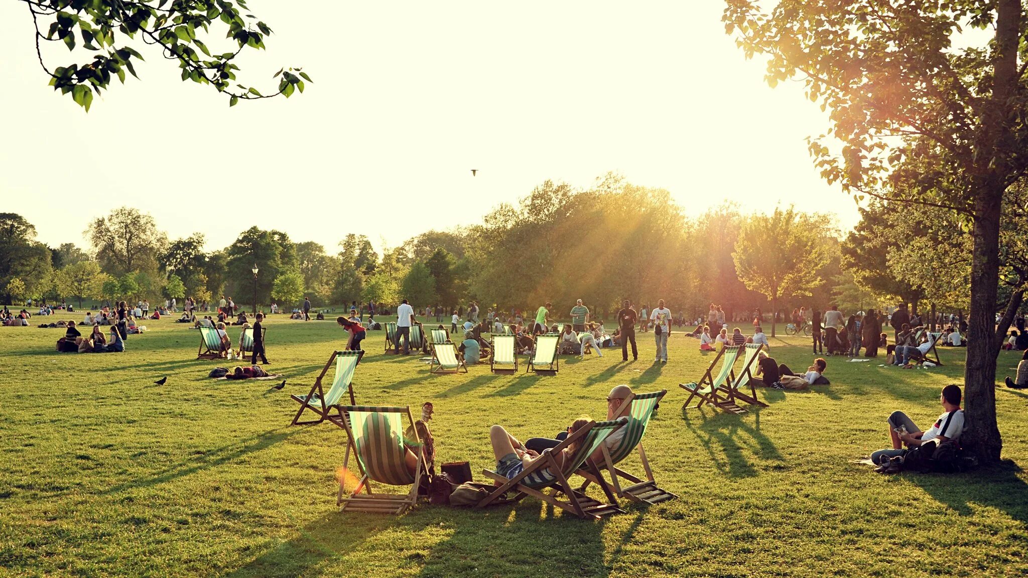 Lot of people in the park. Парк с людьми. Парк Лондон пикник. Гайд парк с людьми. Люди в парке.