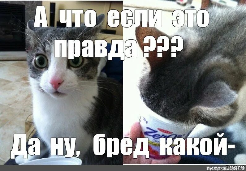 Да не бред какой-то. Да ну бред какой то. Да ну не бред какой-то. Да нет бред