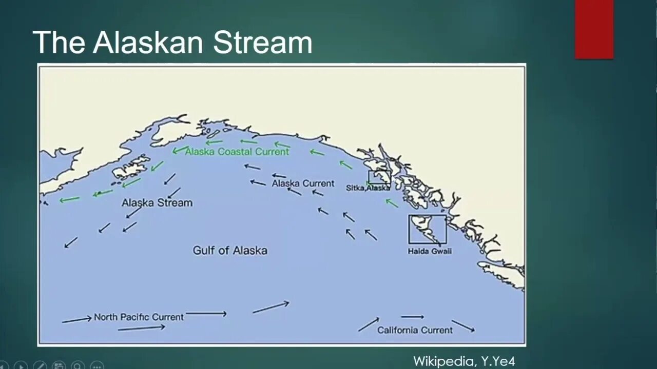 Аляскинский залив на карте. Теплое течение Аляска. Теплое течение Аляска на карте. Аляскинское течение на карте.