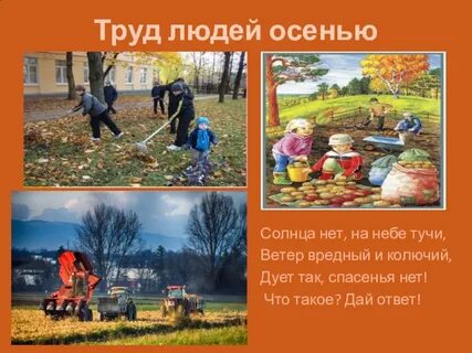 Труд людей осенью средняя группа планирование