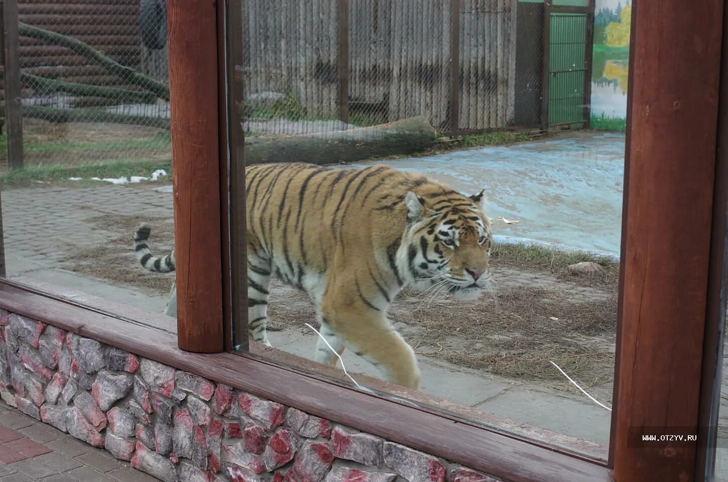 Зоопарк лимпопо нижний новгород сайт. Зоопарк Лимпопо. Лимпопо Нижний Новгород. Зоопарк Лимпопо н Новгород. Животные зоопарка Лимпопо Нижний Новгород.