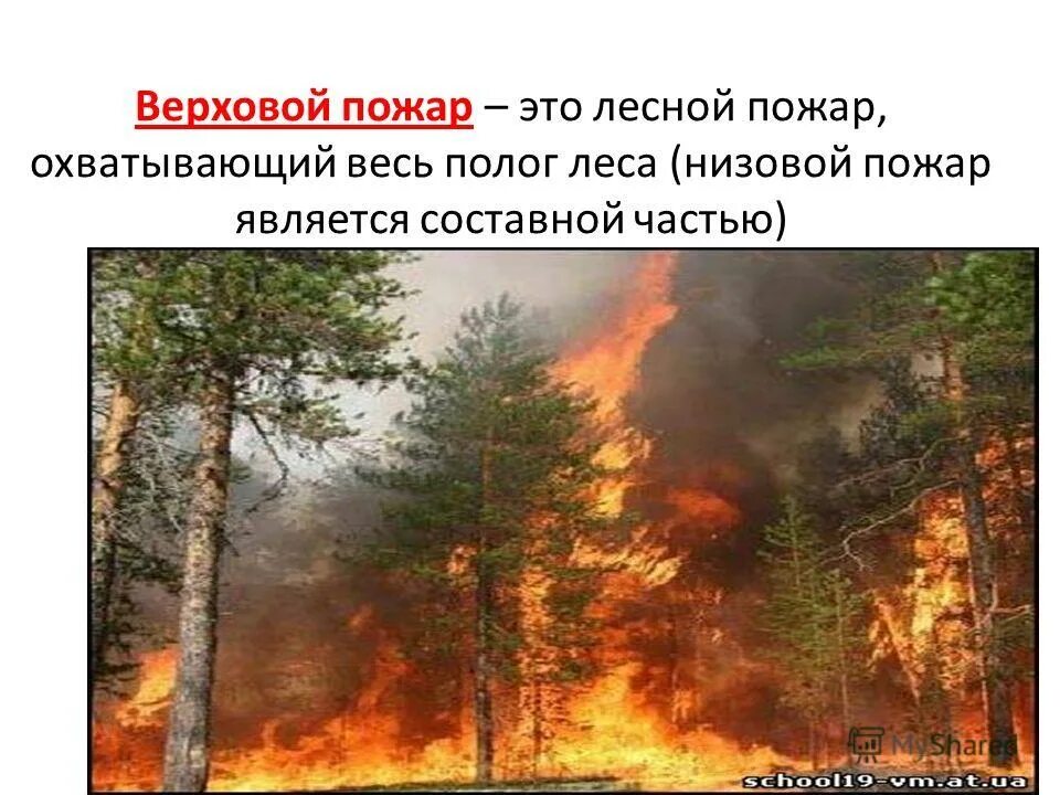 пожар охватывающий полог леса. лесной пожар охватывающий полог леса. пожар охватывающий полог леса. скорость распространения пожара в лесу. классификация природных пожаров по интенсивности горения.