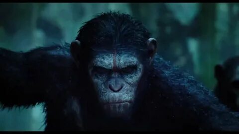 Ape planet watch