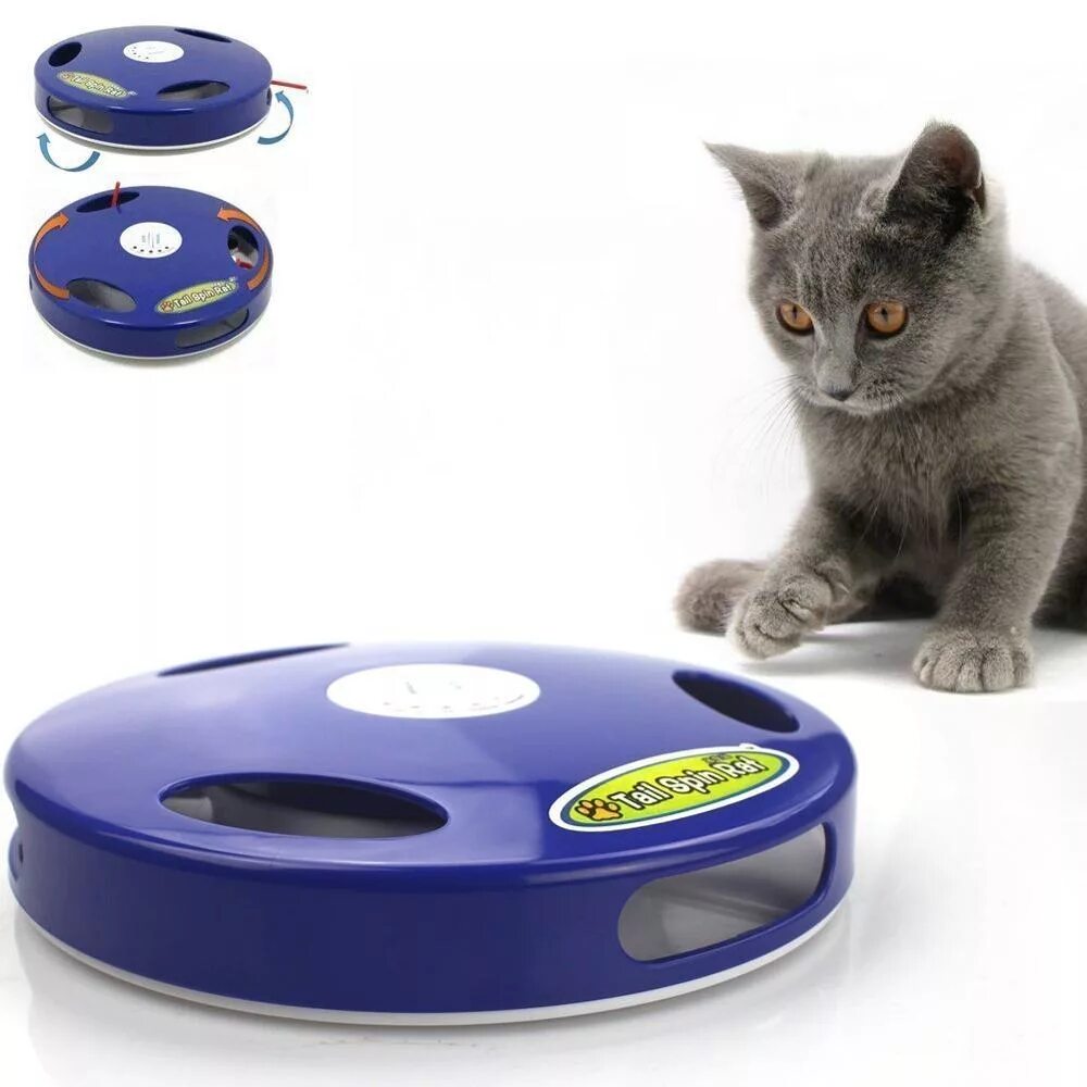 Игрушка для кошки на экране телефона. Интерактивная игрушка кошка. Интерактивные игрушки для котов. Интерактивная игрушка для кошек на батарейках. Бегающая игрушка для кошки.