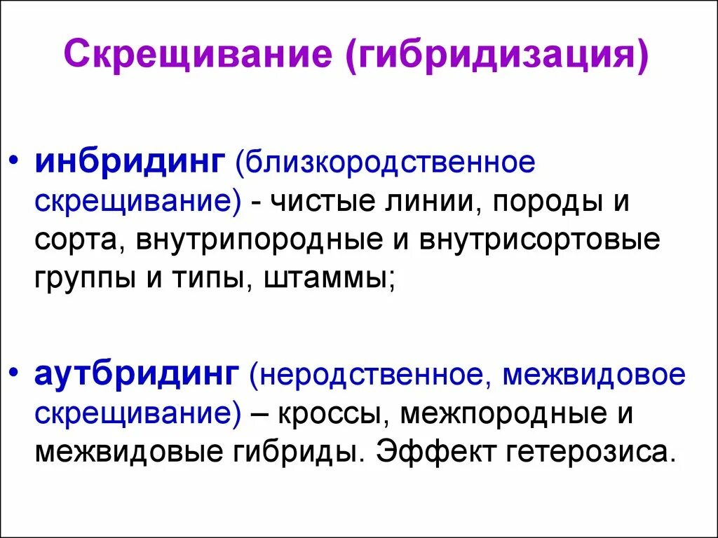 Получение чистых линий инбридингом. Гибридизация близкородственная(инбридинг). Гибридизация это скрещивание. Гибридизация в селекции. Инбридинг растений примеры.