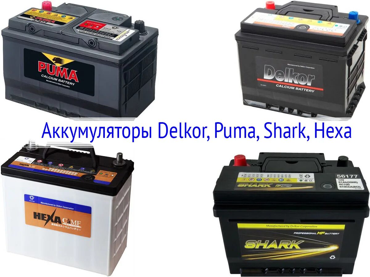 Puma 60 Delkor. АКБ cougar 60 Ah. Johnson Controls Battery Group аккумуляторы автомобильные. Delkor Marine d31. Обзор battery