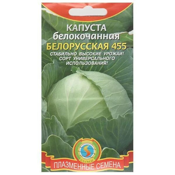 Капуста белокочанная белорусская 455. Капуста белокочанная белорусская 455 описание. Семена капуста белорусская 455.