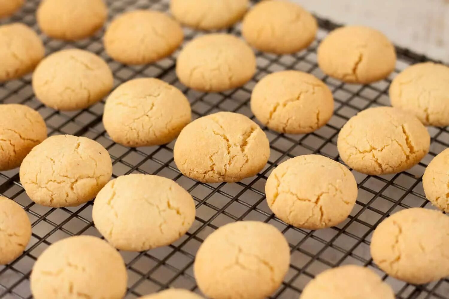 Макарон макарун макаронс. Виды печенья. Сахарное печенье. Печенье. Печенье круглое.