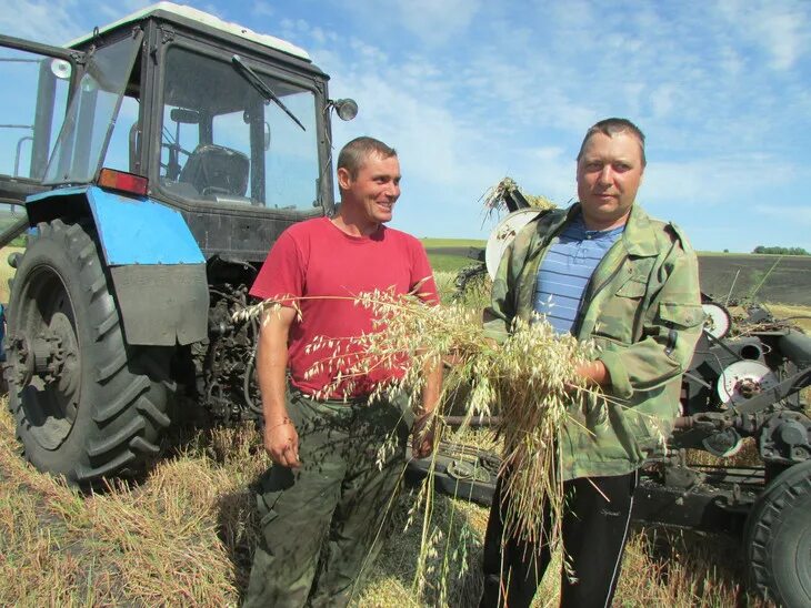 Администрация сеченовского района. Село Болтинка Сеченовский район. Хозяйства в Александровске. Самигуллин Ильнур Райнурович Кукмор КФХ. Колхоз правда Сеченовский район.