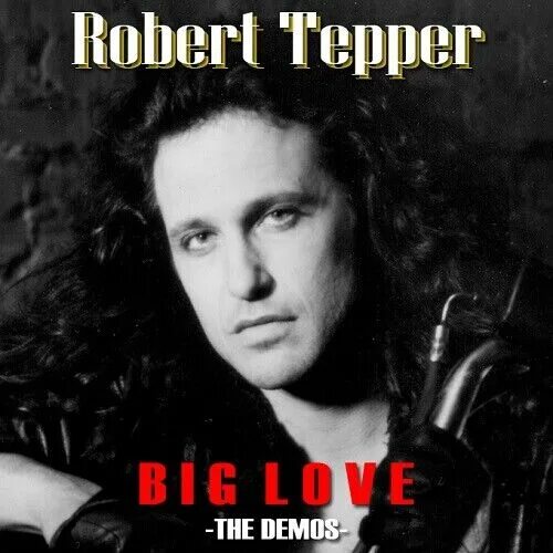 Easy way out tepper. Robert tepper. robert tepper - modern madness.