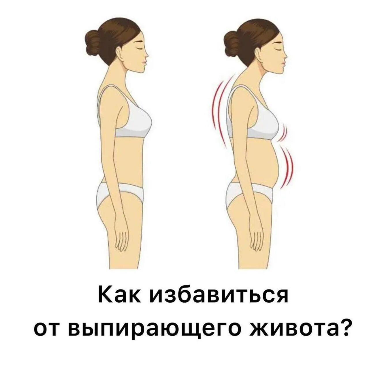 Типы живота
