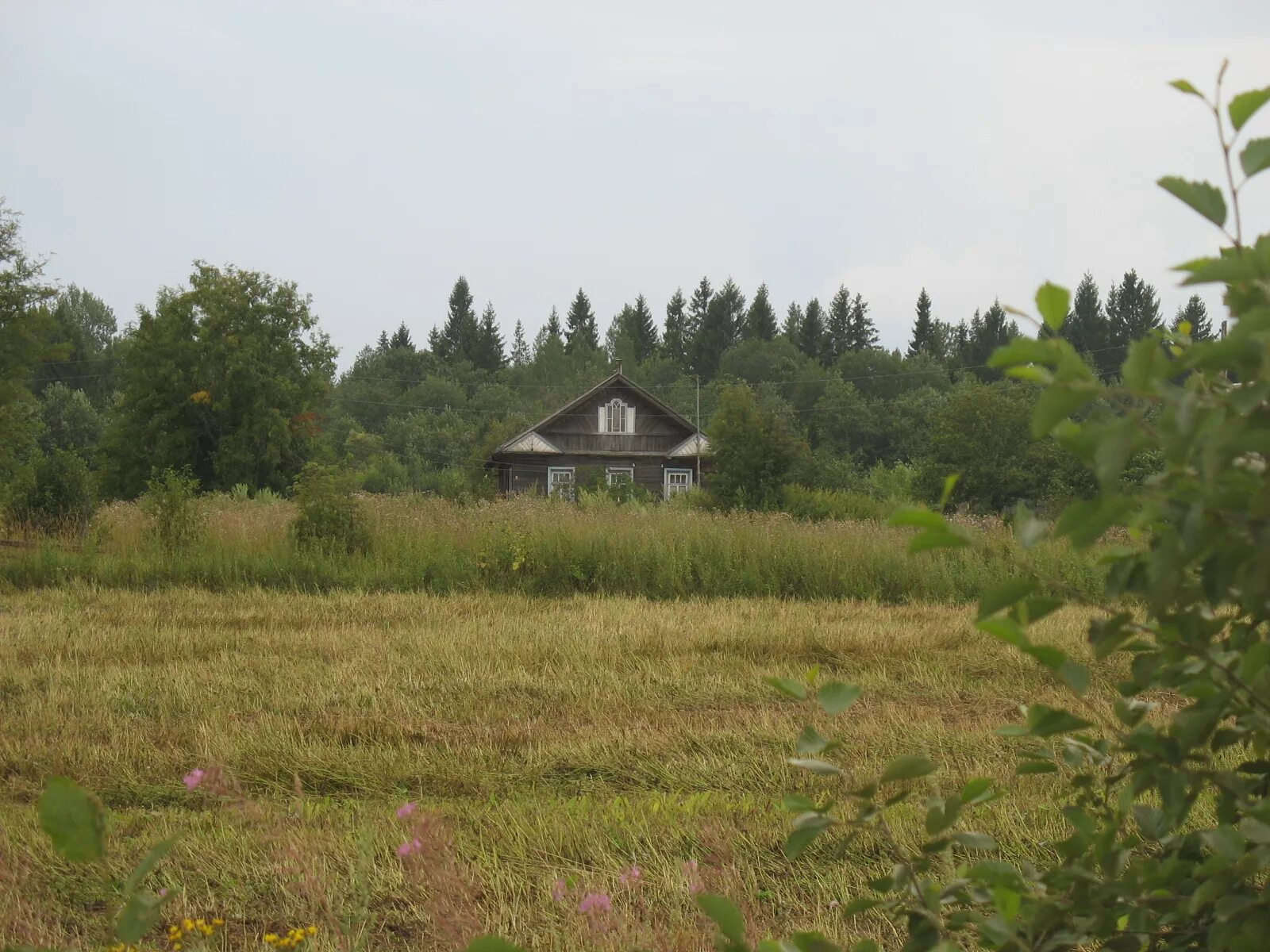 Село Никольское Кадуйский район Вологодская область. Деревня Куракино Вологодская область. Сельское поселение Никольское Кадуйский район. Деревня Изорково Кадуйский район. Погода никольское кадуйский район вологодской