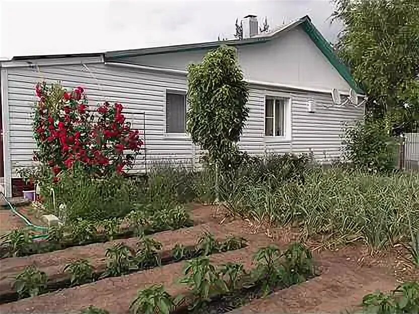 Котово волгоградской дома купить. Огород в Волгоградской области. Зеленая Котово Волгоградская область ул. Волгоград о зеленый дачи. Волгоград дом дача.