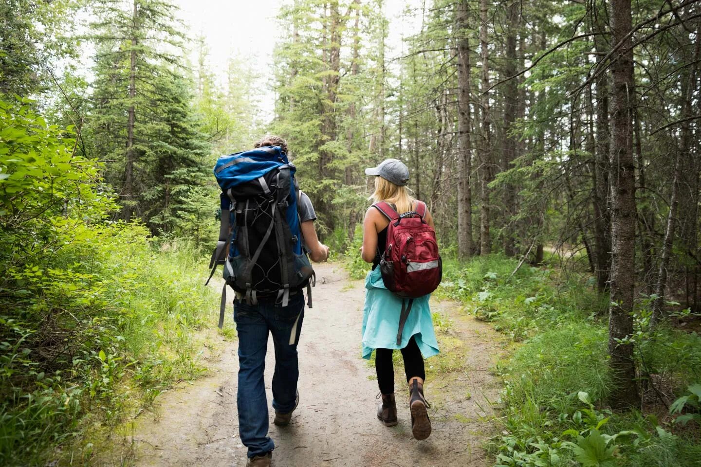 Что делают люди в лесу. Пешеходный туризм. Поход в лес. Пешеходный туризм в лесу. Туристы в лесу.