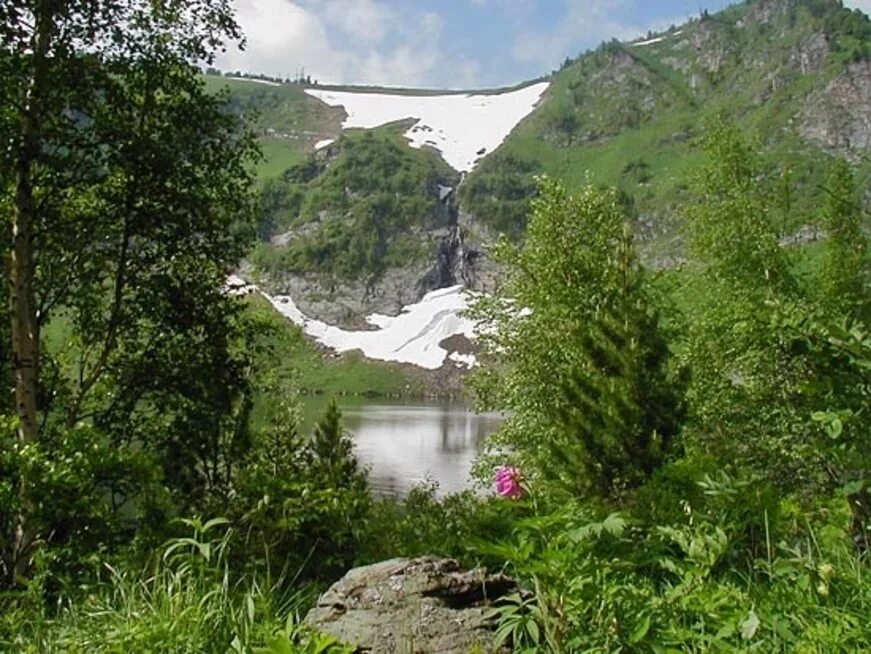 чарышский район алтайский край. царский курган чарышский район сентелек. чарышский район алтайский край заказник. река чарыш алтайский край. село чарышское чарышского района алтайского края.