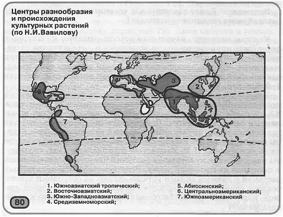 Вавилов центры происхождения культурных растений. Средиземноморский центр происхождения культурных растений на карте. Центры происхождения культурных растений карта. Центры происхождения культурных растений по Вавилову карта.