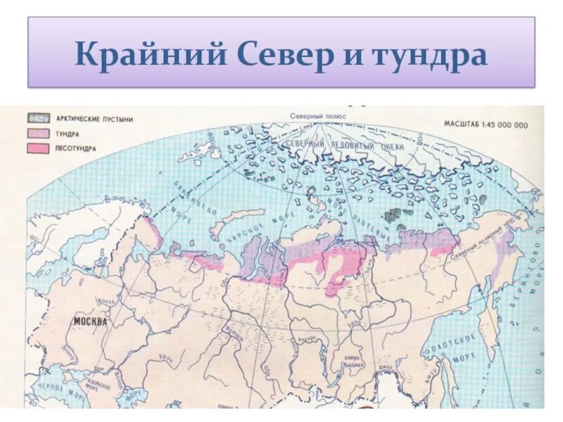 Зона севера карта. Зоны крайнего севера на карте России. Территории крайнего севера России. Регионы крайнего севера карта.