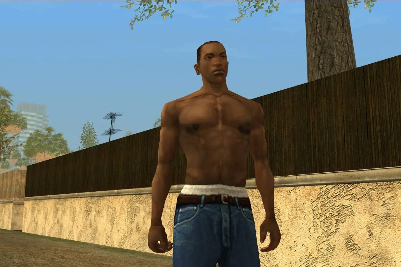 Cj san andreas. Си Джей ГТА.