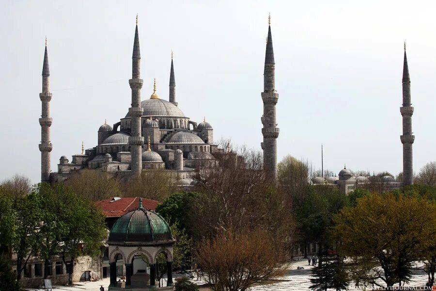 Мечеть в Турции Стамбул. Мечеть Султана Ахмета. Мечеть Султанахмет шпиль.