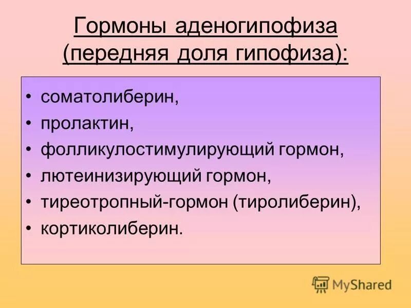 Тиреотропный гормон гипофиза