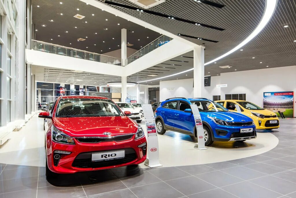 сколько официальных дилеров