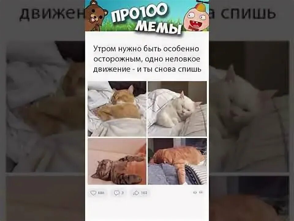 Озвученные мемы. Мемы для озвучки. Мемы для озвучки видео. Озвучить Мем.