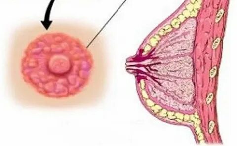 Үлкен клитор туралы бейне