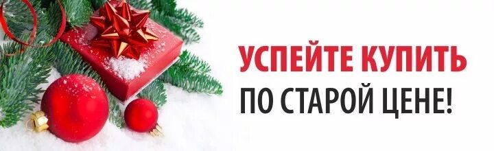 Купить по старым ценам. Успей заказать до нового года. Успейте приобрести по старой цене. Успей купить до нового года. Успей приобрести по старой цене.