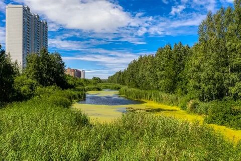 Вода в приморском районе