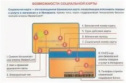 Номер карты социальной карты. Номер карты москвича. Номер социальной карты москвича. Социальная карта москвича номер карты.