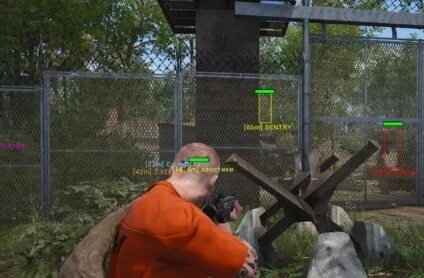 Scum читы