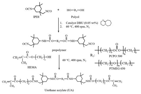 Acrylates copolymer