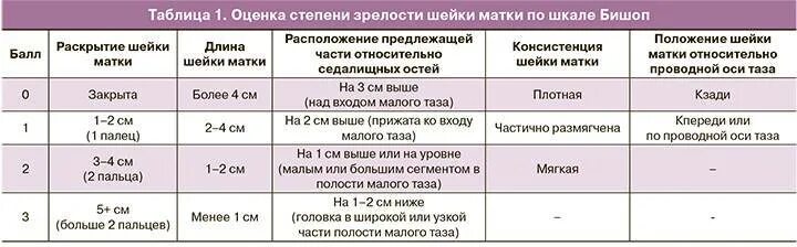 Как выглядит матка во время месячных
