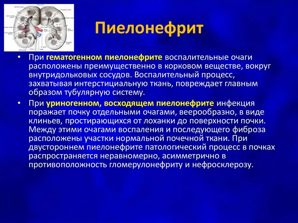 Пиелонефрит влияет. Острый пиелонефрит пути инфицирования. Хронический пиелонефрит этиология. Острый гематогенный пиелонефрит. Патогенез пиелонефрита у детей.