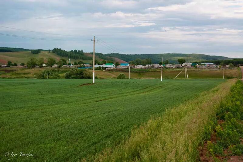 Деревни татарстана. Деревня Татарская Мушуга. Мензелинский район деревня Татарская Мушуга. Туган нигезем. Природа Макулово.