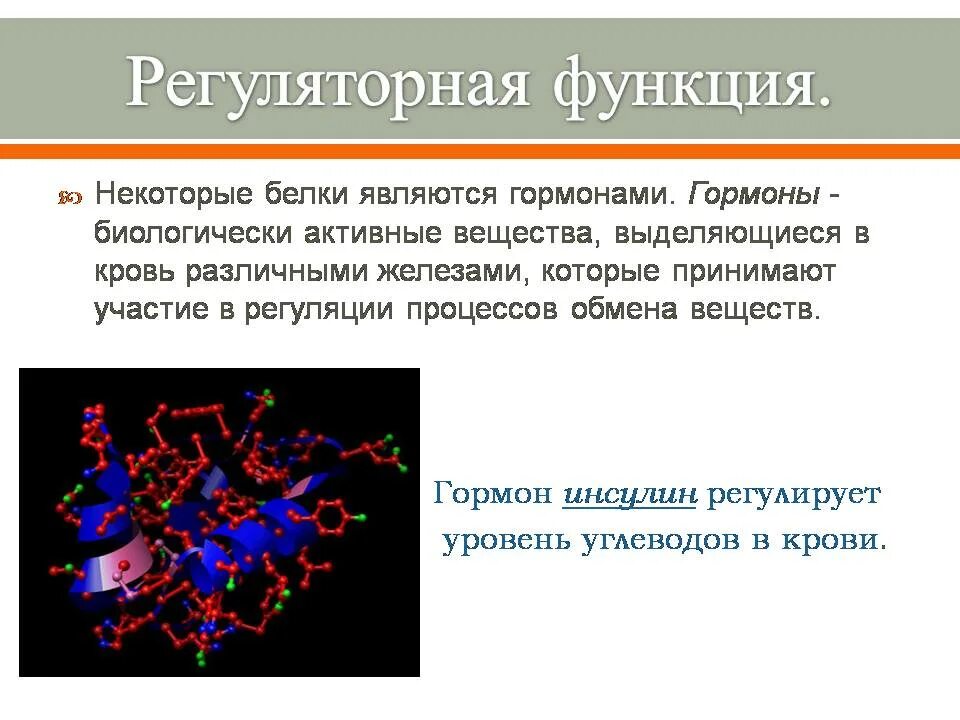 Регуляторная функция белков. Регуляторная функция белка. Функции белков гормонов. Белки Регуляторная функция. Пояснить главную функцию белков