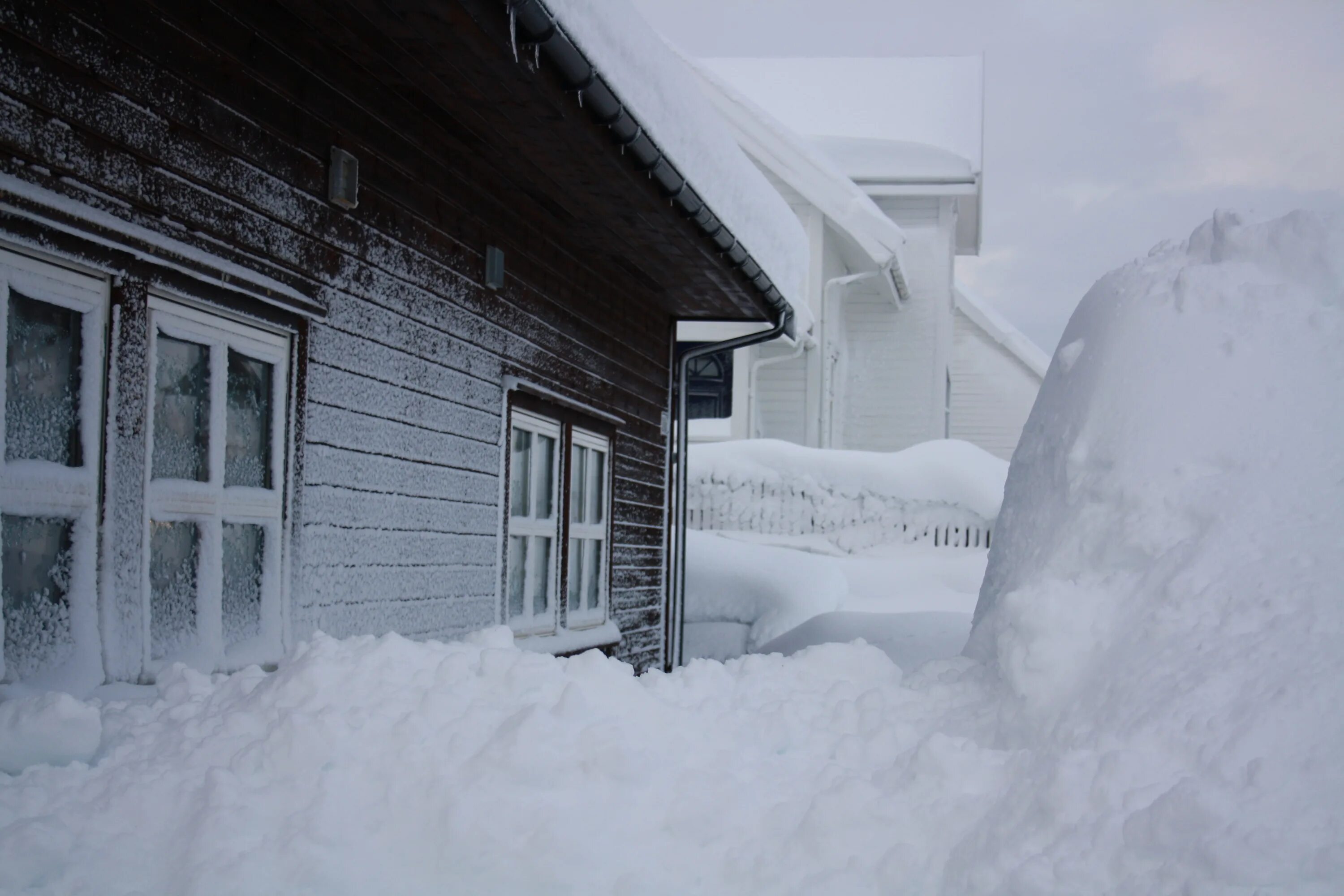Дом занесло снегом. Сугробы в деревне. Зимние сугробы в деревне. Снегопад в деревне.