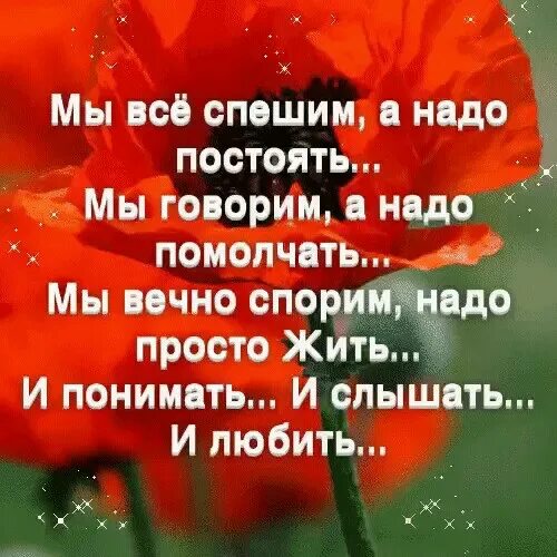 Нельзя весь как жить. Мы все спешим а надо постоять. Мы все спешим а надо просто жить. Спешите жить стихи. Стих надо жить.