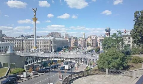 Вид 2013