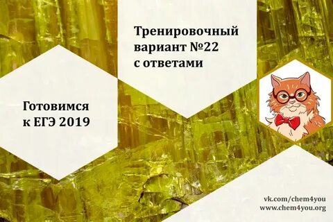 Вариант по химии 2024 егэ степенин